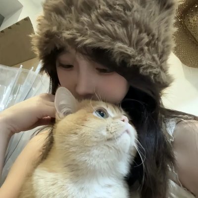 鸽之翼